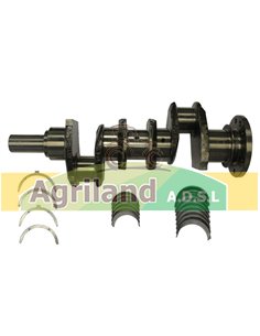 Vilebrequin avec coussinets 81815395 , 89150 , E2006T9 , PERZZ90148 , U5BG0012 , U5BG0031 , ZZ90023 , ZZ90084 , ZZ90116 ,ZZ90148