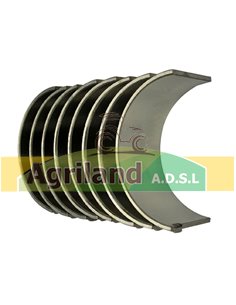 Jeu de coussinets de bielle 0.010" - 0.25mm - 4 cylindres 81815751 , 83906783 , CFPN6211D8 , S65200