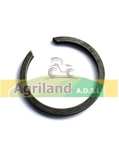 Anneau élastique R134097