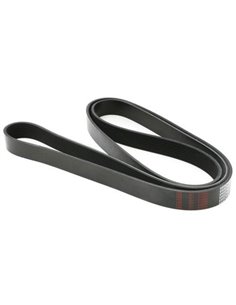 Courroie plate 8 PK X 2096 R228566