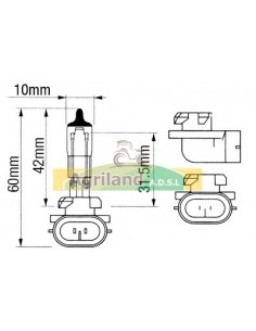 Ampoule 12V- 50W 0.900.1070.1 , 057960 , 101988101 , 1138886 , 139119A1 , 2004449 , 57M7358 , 82004449 , 84135750 , 87778088  2