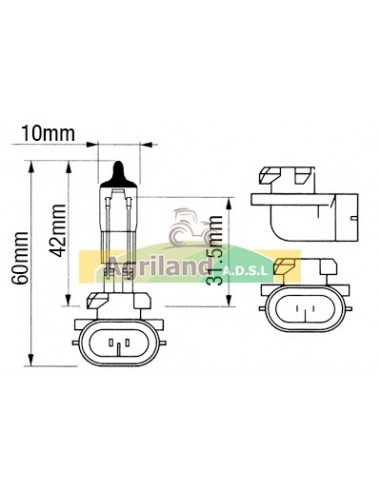Ampoule 12V- 50W 0.900.1070.1 , 057960 , 101988101 , 1138886 , 139119A1 , 2004449 , 57M7358 , 82004449 , 84135750 , 87778088 
