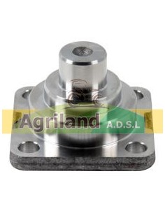 Pivot de direction 04415055 , 4415055 , F380.309.021.020 , F380309021020 , T151074 , T188397
